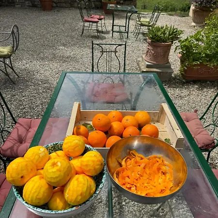 Farma Corte Di Valle