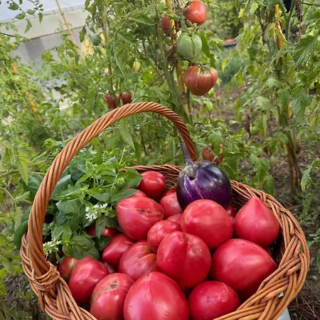 Farma Corte Di Valle *