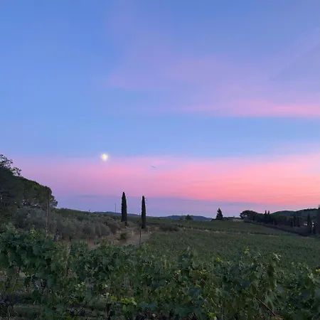 Farma Corte Di Valle *