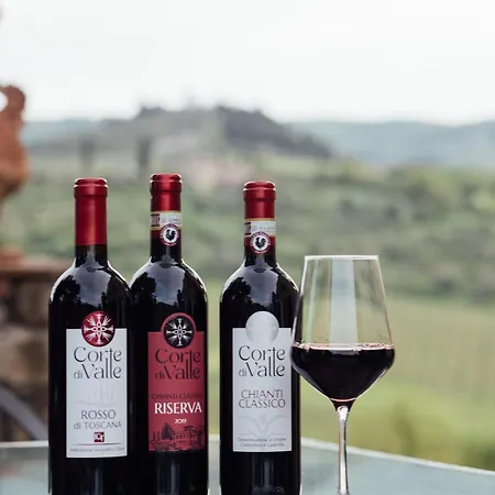 Farma Corte Di Valle Greve in Chianti