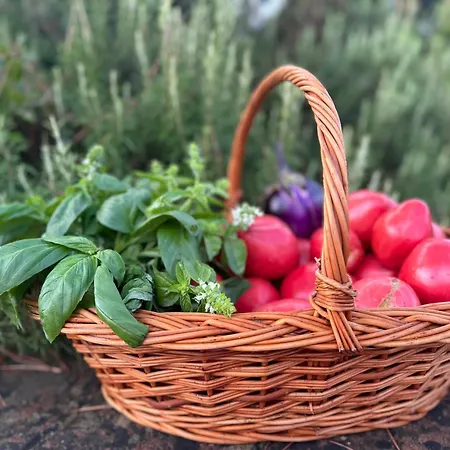 Farm stay Corte Di Valle